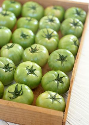 歓楽街で憧れのコンパニオンになるなら